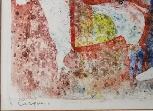 Andre Goezu - Cirque kopen? Bied vanaf 1!