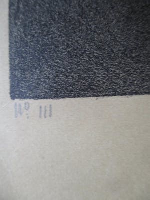 Willem Dooijewaard - Litho kopen? Bied vanaf 30!