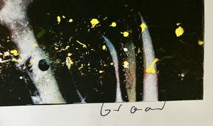 Herman Brood - Nightride - Nr. 28 van 175 - handgesigneerd kopen? Bied vanaf 325!