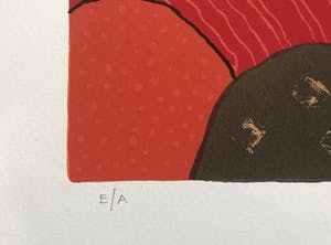 Ronald Boonacker - Zeefdruk, Tanzania l kopen? Bied vanaf 95!