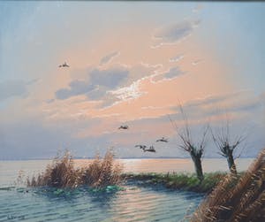 Gien Brouwer - Plasgezicht met eenden kopen? Bied vanaf 165!