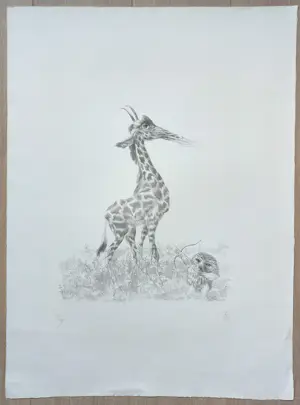 Peter Vos - De ontdekking van de giraffe, litho kopen? Bied vanaf 75!