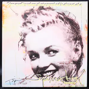 Jörg Döring - Zeefdruk op doek, Marilyn Monroe kopen? Bied vanaf 60!