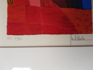 Ton Schulten - Zeefdruk 20/20, handgesigneerd kopen? Bied vanaf 195!