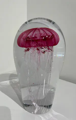 Petr Kuchta - “ Jellyfish “ kopen? Bied vanaf 290!