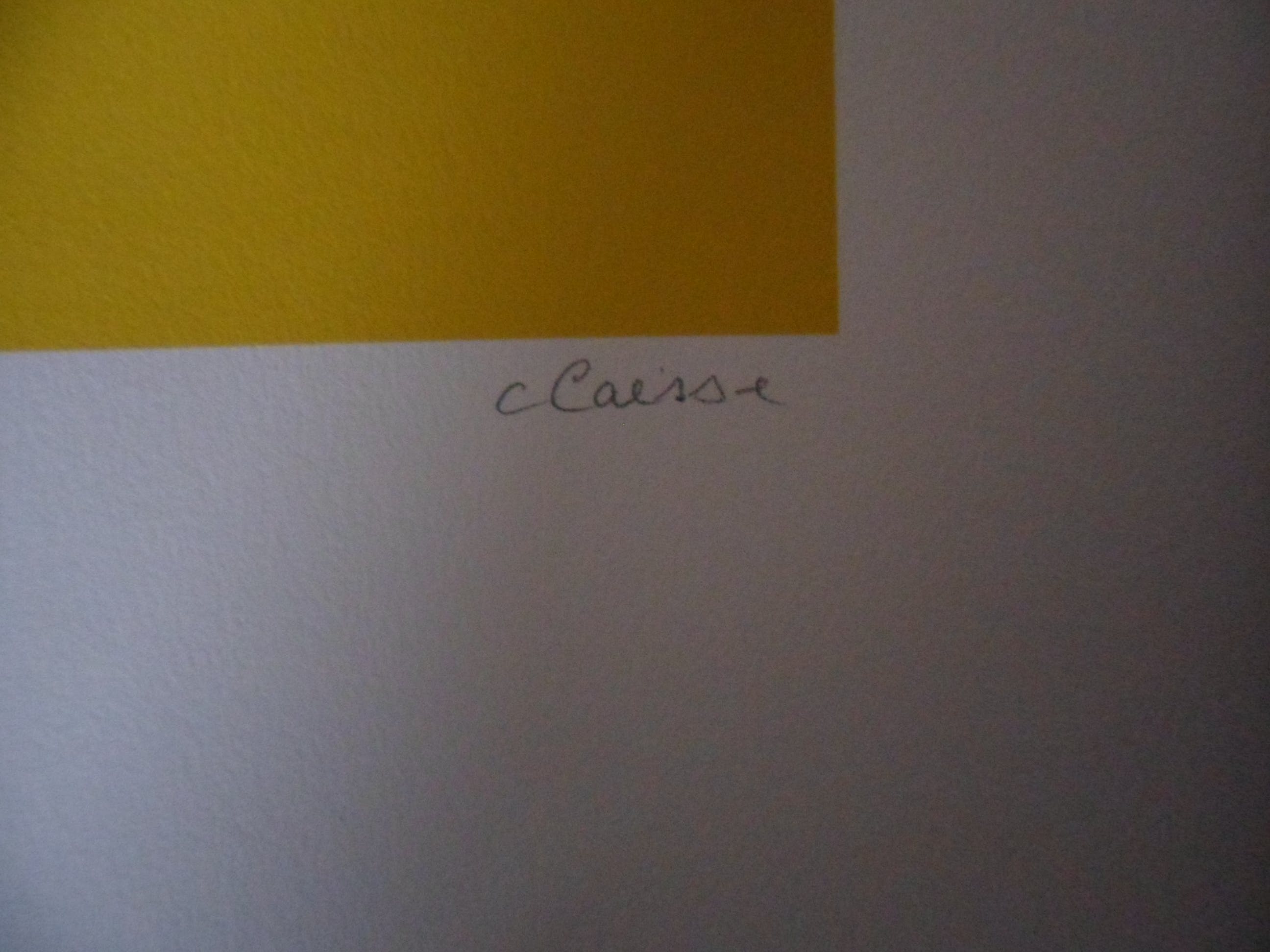 Genevieve Claisse - Geneviève Claisse - Cercle noir / oranje kopen? Bied vanaf 110!