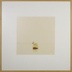 Pieter Engels - Serie van 4 foto's, Reality about colour - Ingelijst kopen? Bied vanaf 60!