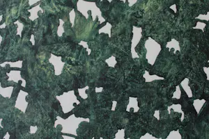 Ad van Riel - A clear blue sky kopen? Bied vanaf 140!