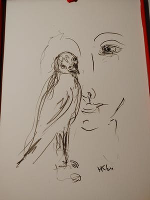 Hans Kuijs - ZOVER HET REIKT.... kopen? Bied vanaf 20!