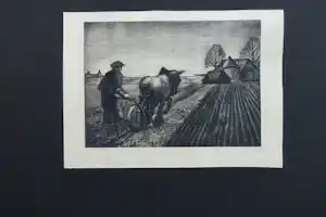 Jo Bezaan - BOERENLAND VELUWESTREEK verkocht voor € 100!