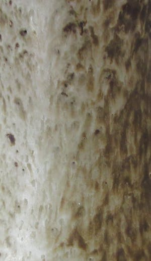 Aage Wurtz - Elegante Studio Keramische karaf kopen? Bied vanaf 1!