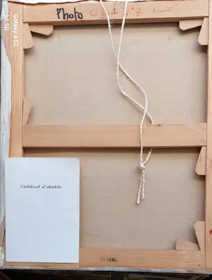 Alexis Hinsberger - Maternité kopen? Bied vanaf 225!