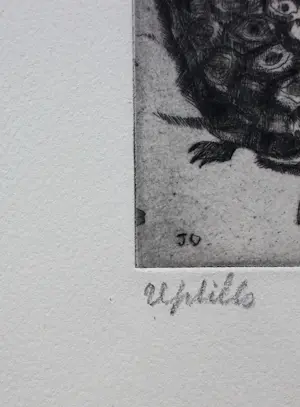 Jeanne Bieruma Oosting - Ets: reptilo kopen? Bied vanaf 225!