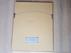 Ton Schulten - Zeefdruk 20/20, handgesigneerd kopen? Bied vanaf 195!