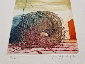 AcheterNicolaas Wijnberg - een hele leuke, in zeer kleine oplage (12) gemaakte kleuren-Ets "Kievitsei"? Enchérissez de 37!