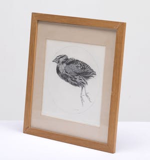 Charles Donker - geen titel kopen? Bied vanaf 15!