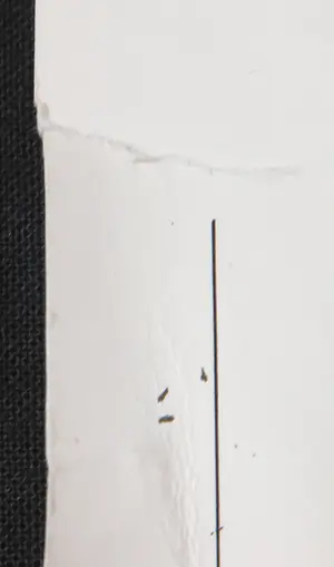 Patrick Conrad - Offset, Hotel continental kopen? Bied vanaf 1!