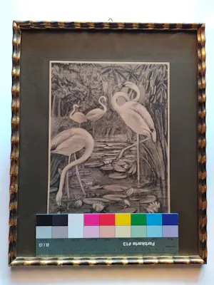 Kuno Brinks - Flamingo's kopen? Bied vanaf 45!