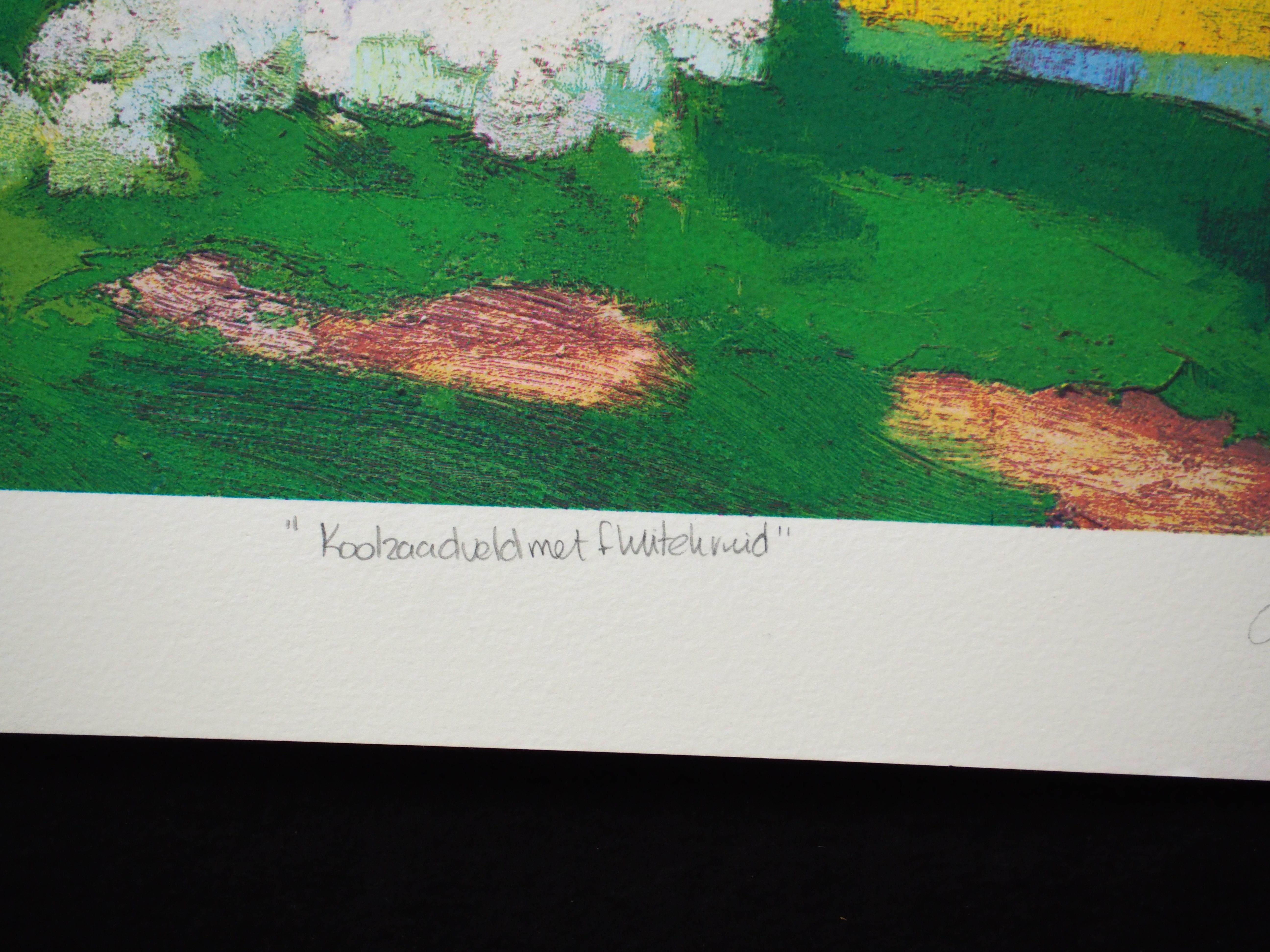 Jentsje Popma - Koolzaadveld met fluitekruid kopen? Bied vanaf 70!