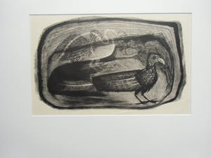 Jan Bezemer - ARGUSVOGEL /// LITHO VAN JAN BEZEMER kopen? Bied vanaf 50!