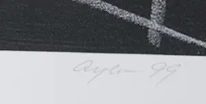 Frederick William Ayer - Break the plates Sarah kopen? Bied vanaf 1!