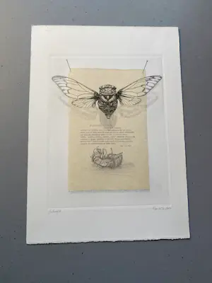 Gerard van Rooy - De zingende cicaden – Ets, 1978 – 6/100 – Handgesigneerd kopen? Bied vanaf 40!