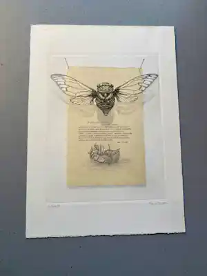 Gerard van Rooy - De zingende cicaden – Ets, 1978 – 6/100 – Handgesigneerd verkocht voor € 45!