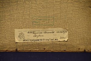Annetje van Verseveld - Corpus - Ets op papier - BKR Amsterdam kopen? Bied vanaf 20!
