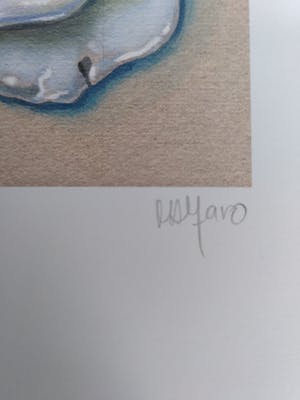 Niet of onleesbaar gesigneerd - "Fried Eggs" (diptych) kopen? Bied vanaf 1!