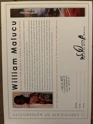 William Malucu - Split 2x 30x60 kopen? Bied vanaf 150!