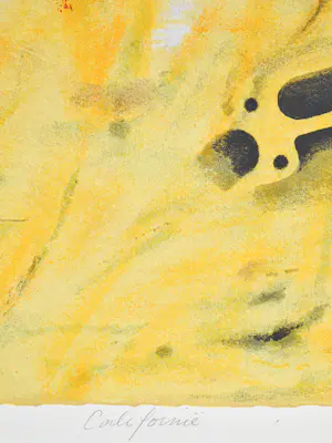 Willem van Scheijndel - California kopen? Bied vanaf 75!