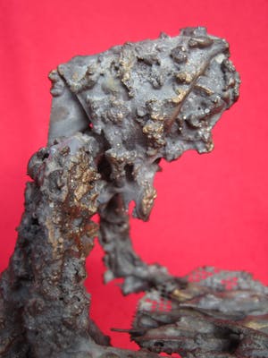 Niet of onleesbaar gesigneerd - Lust u nog 'n vissie? kopen? Bied vanaf 1!