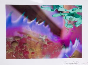 Reinoud van Vught - zonder titel kopen? Bied vanaf 50!