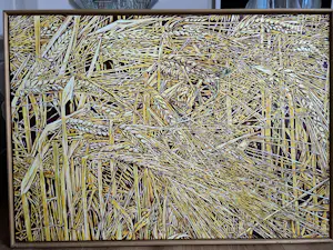 Ger Daniels - Granen kopen? Bied vanaf 300!