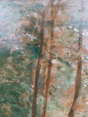 Xavier De Cock - Boszicht / Sous-bois kopen? Bied vanaf 69!