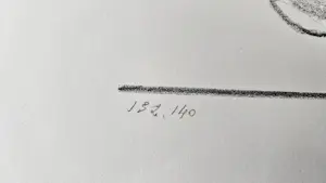 Hedwig Pauwels - Lente kopen? Bied vanaf 20!