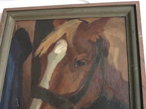 Niet of onleesbaar gesigneerd - Olieverf op doek , “Portret Paard” – gesigneerd & ingelijst kopen? Bied vanaf 10!