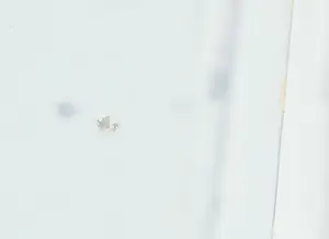 Ella Steenmeijer - Acryl op plexiglas, Kindertekening kopen? Bied vanaf 1!