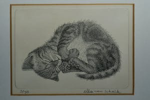 Ella van Schaik - slapende kitten kopen? Bied vanaf 15!