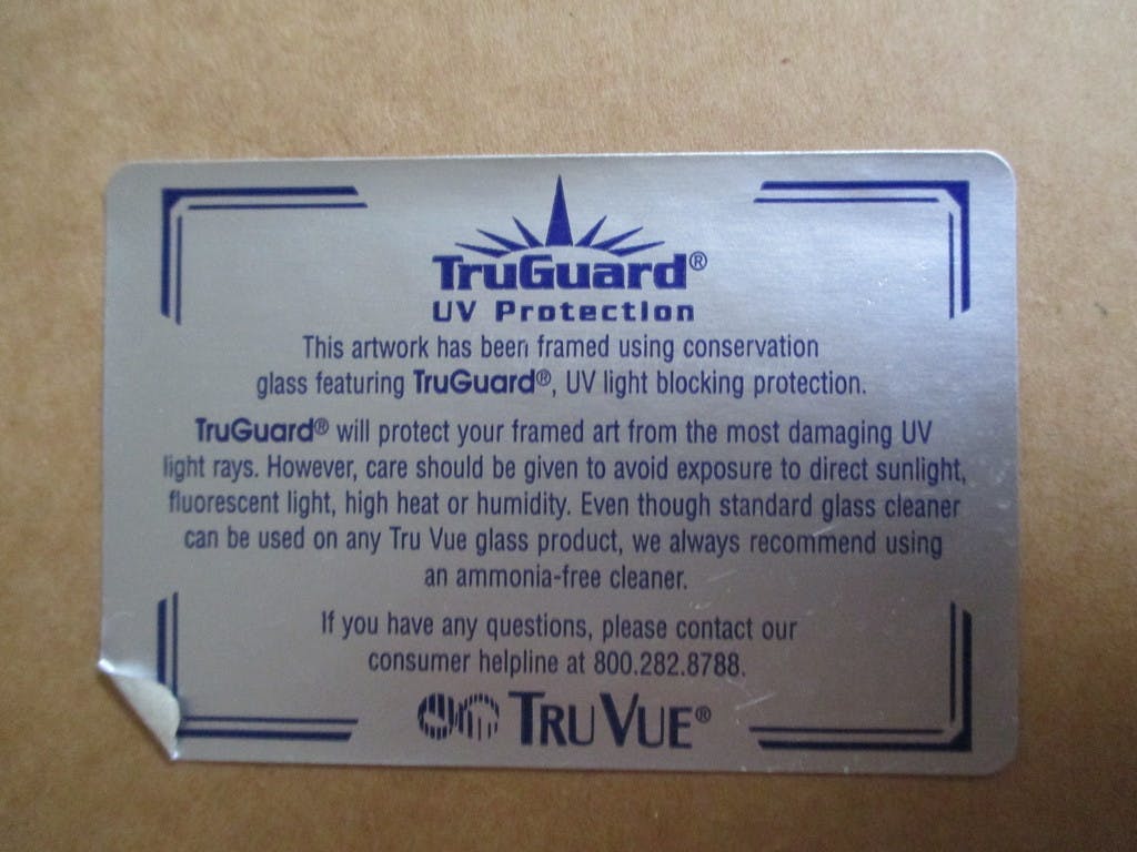 Joke Struik - ingelijste kleurenets, "Hoi, regen!" kopen? Bied vanaf 45!