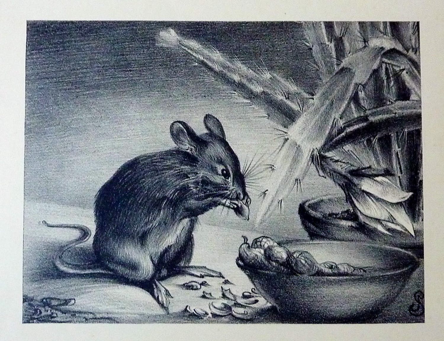 Jan Schonk - Litho "Muis" 1929 verkocht voor € 40!