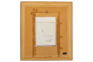 Salvador Dali - Divine Comedy (Purgatorio) kopen? Bied vanaf 75!