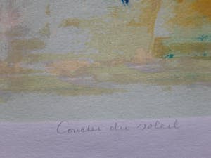 Nicole Schaap - COUCHER DU SOLEIL kopen? Bied vanaf 45!