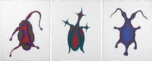 Rado Konecnik - Acryl op doek, Drie Amoebes kopen? Bied vanaf 1!