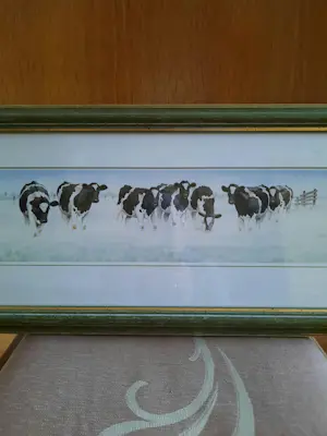 Wiebe A van der Zee - Koeien kopen? Bied vanaf 59!