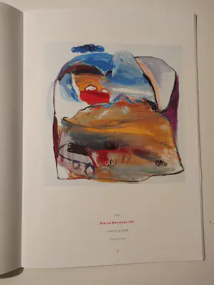 Pieter Defesche - Een terugblik 1940-1998 = Gesigneerd + 4 Catalogi kopen? Bied vanaf 35!