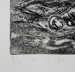 Willem Snitker - Paard in woest landschap, aquatint ets kopen? Bied vanaf 50!