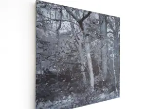 Erwin van Krey - Wald kopen? Bied vanaf 350!