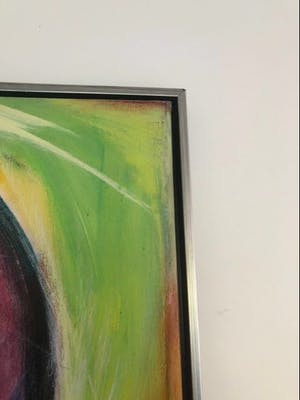 Frits van Eeden - Paard kopen? Bied vanaf 800!