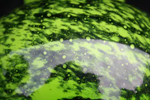 Niet of onleesbaar gesigneerd - Wonderschoon Grote Handgeblazen Melkglazen Kunsternaars Bolvaas (20e eeuw) kopen? Bied vanaf 1!